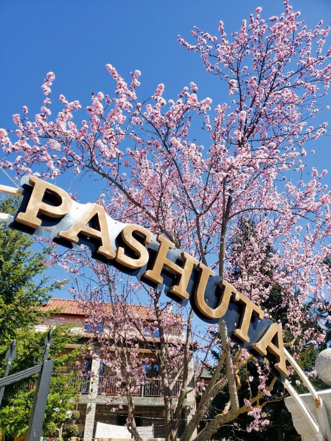 Pashuta Otel Voskopojë Dış mekan fotoğraf