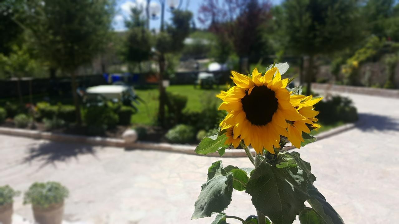 Pashuta Otel Voskopojë Dış mekan fotoğraf